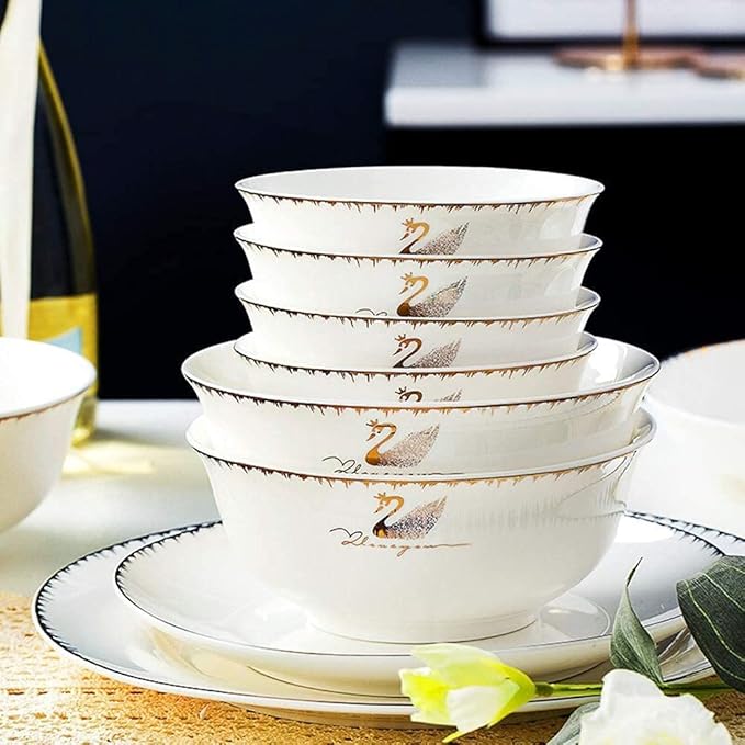 Porcelain Dinnerware Sets Plates and Bowls Sets 60-Pieces Luxury Dinnerware Sets - Dinner Plates and Bowls Sets Ceramic Dishes Set Service for 12