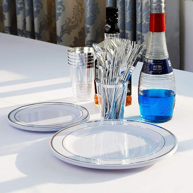 I00000 102pcs Silver Plastic Plates Disposable Plastic Party Plates with White Silver Rim Fancy Wedding Party Plates Include 51 Dinner Plates 10.25 and 51 Dessert Appetizer Plates 7.5