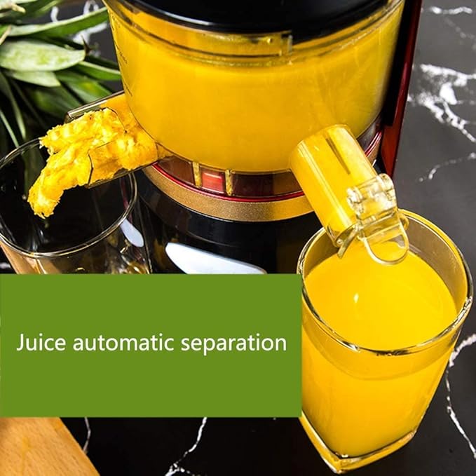 Multifunctional electric juicer Juicer machines Juicer Slow Juicer Extractor Anti-drip Mouth (A 10)