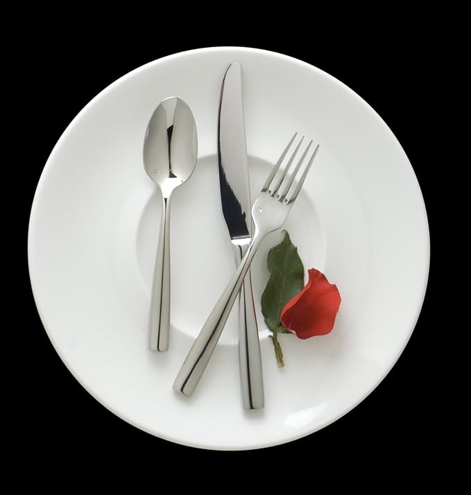 Fortessa Lucca 18/10 Stainless Steel Flatware 20 Piece Place Setting Service for 4