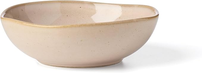 Oneida 897202 Organic Shades 12-Piece Dinnerware Set Service For 4 Unique Color May Vary Clay