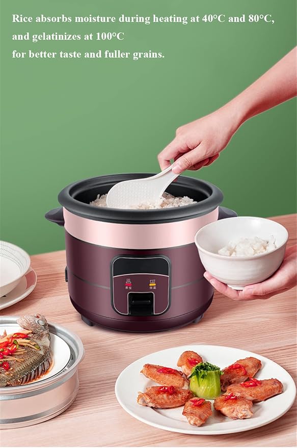 Mini Electric Rice Cooker with Keep Warm Function Multicooker/Food Steamer Inner Container Dishwasher-Safe Non-Stick (5L)