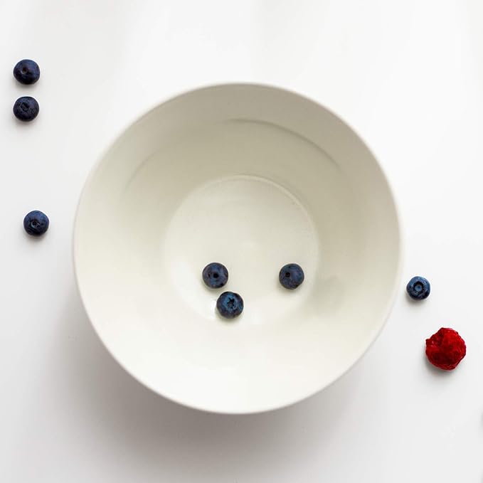 Aito Seisakusho 567-512 Ceramic Mino Ware Ciel Bowl &amp Spoon Pair Living Alone Set of 2 White Dishwasher Microwave Safe Made in Japan