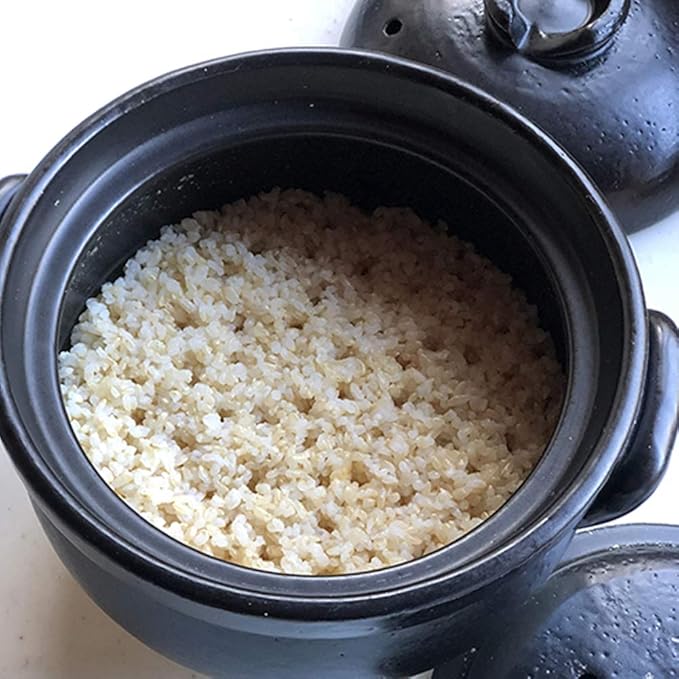 Japanese Donabe Rice Cooker 3 Go with Inner Lid 1900ml Made in Mie Japan