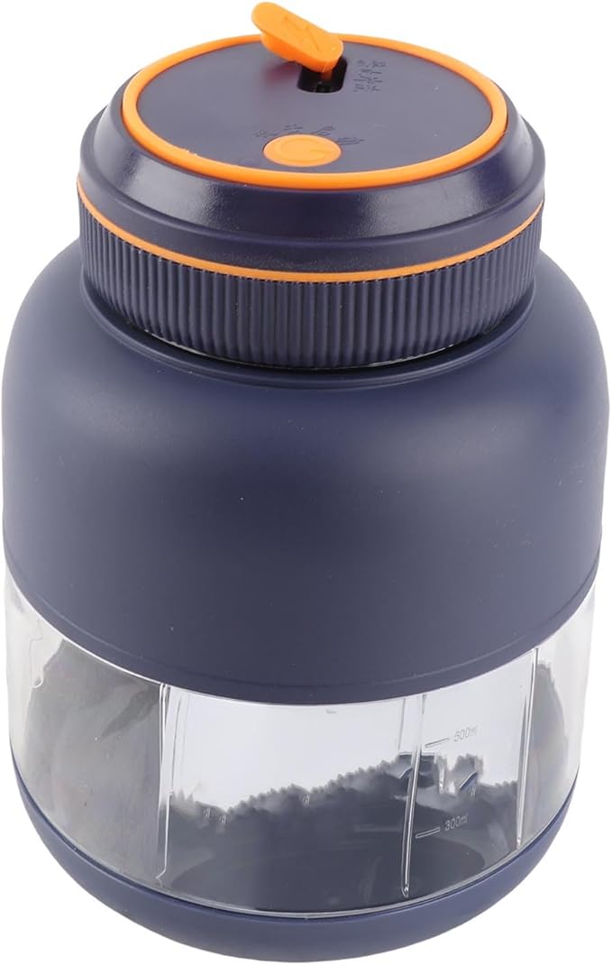 Pilipane Portable Blenders Handheld Personal Blender USB Rechargeable Powerful Blending Juicer Cup with 1300mAh Battery 800ml Capacity for Smoothies Shakes Juices Leakproof ABS PP Material (Blue)