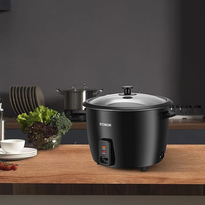 Small Electric Rice Cooker with Clear Lid Portable Stew Pot for Travel and Home Use Multi-functional Cooker for Rice Soup Stew and Steamed Vegetables US Plug