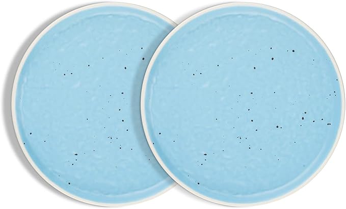 Stone lain Elena Stoneware Dish Set 4 Salad Plates Blue