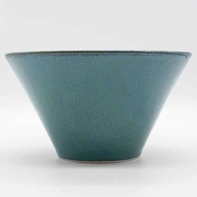 Aito Aito Seisakusho Natural Color Dinnerware Set Dishwasher-Safe Microwave Safe Ramen Donburi Large Diameter Approximately 6.7 x Depth 3.7 inches (17 x 9.4 cm) Mino Ware Stylish Bowl Plate