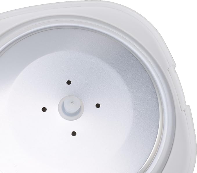 2L Car Rice Cooker Multifunctional Quick Cooking Travel Rice Cooker with Steam Tray for Car Travel Camping 24V