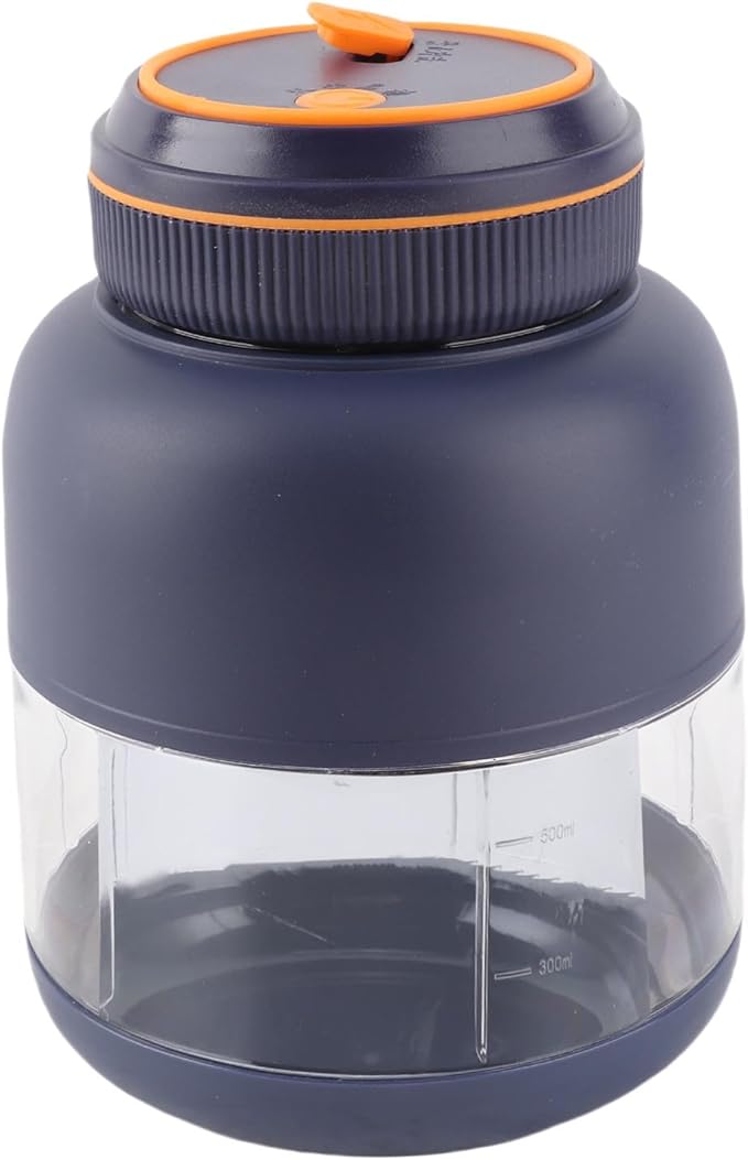 Pilipane Portable Blenders Handheld Personal Blender USB Rechargeable Powerful Blending Juicer Cup with 1300mAh Battery 800ml Capacity for Smoothies Shakes Juices Leakproof ABS PP Material (Blue)