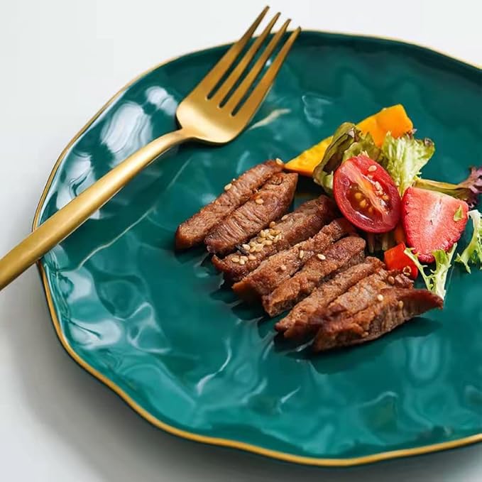 Ceramic Dinner Plates Set of 4 10 inch Dish Set - Microwave Oven and Dishwasher Safe Scratch Resistant Modern Rustic Dinnerwar