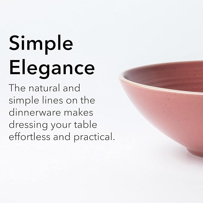 RINGAR Round Stoneware 16pc Double Bowl Dinnerware Set for 4 Dinner Plates Side Plates Cereal Bowls Pasta Bowls - Speckle Matte Red (395438) Visit the Arora Store
