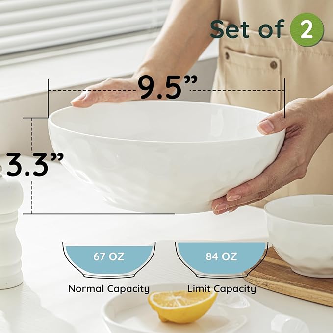 HOMBENE Large Dinnerware Set 16 Piece Service for 4 Bundle with 9.5 Inch Soup Bowls Set of 2