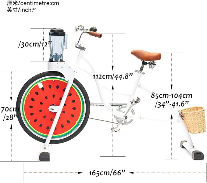 Beach Party Blender Bike - Stationary Smoothie Blender &amp Juicer Smoothie Bike/customized Cheap juicer blender bike Stationary bike