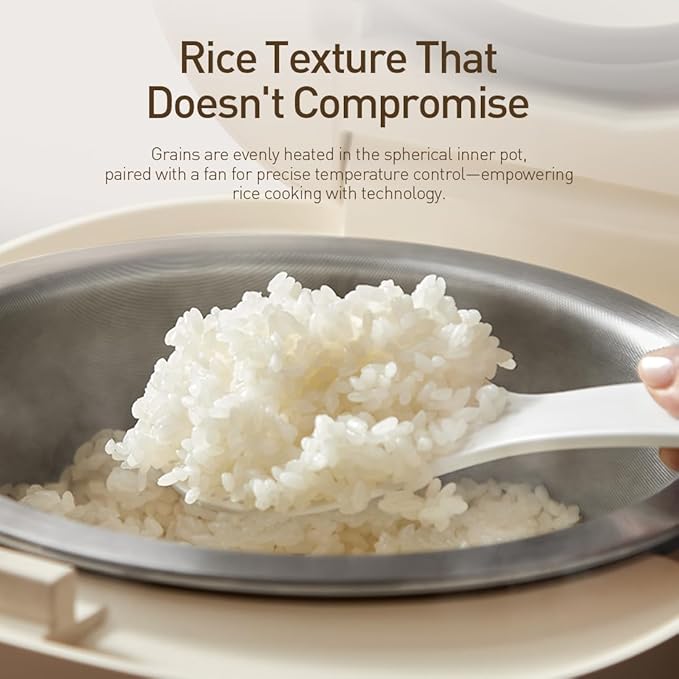 Joydeem Stainless Steel Rice Cooker Uncoated Non-stick 316L Stainless Steel Inner Pot Rice Cookers 6 Cup Uncooked 3L/3.2 qt DFB-D300
