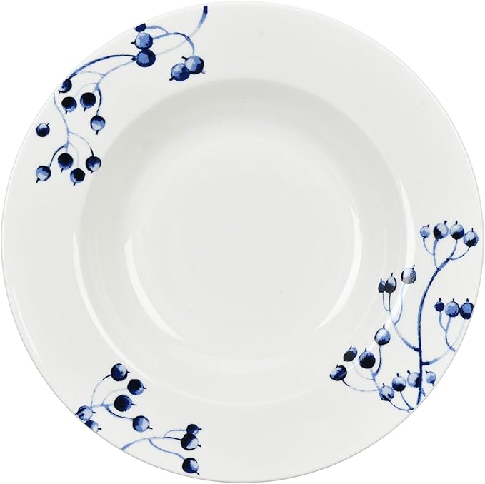 STP Porcelain J-229574 Azur de Limoges Bone China Dinnerware Set of 20 Service for 4