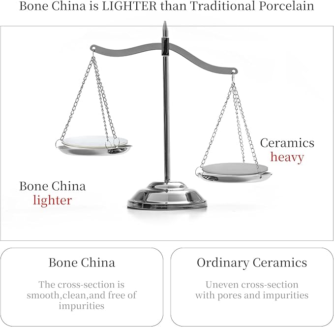 Bone China Plates and Bowels12-Pieces Dinnerware Sets Highly Chip and Crack Resistant Dishwasher &amp Microwave Safe Dishes Set Dense and Translucence