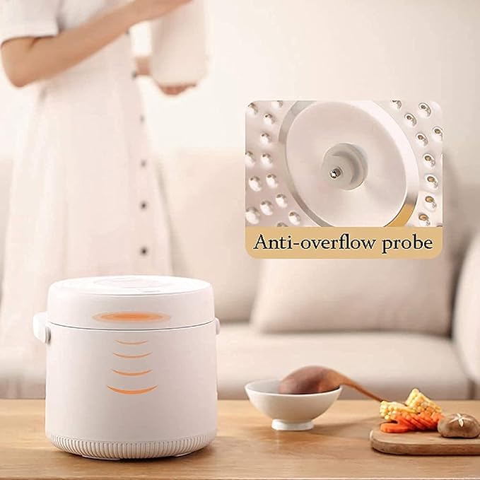 2L Mini Electric Rice Cooker Thermal Lunch Box Portable Meal Thermal Heating Food Container&ampWarmer