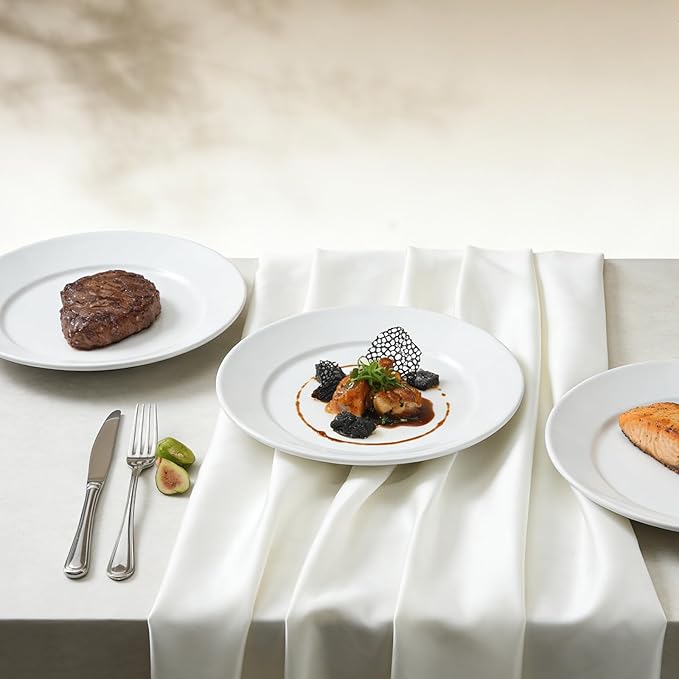 Stoneware Wide Rim Commercial Grade Dinnerware Bright white Dinner Plate 11.25 Case of 12