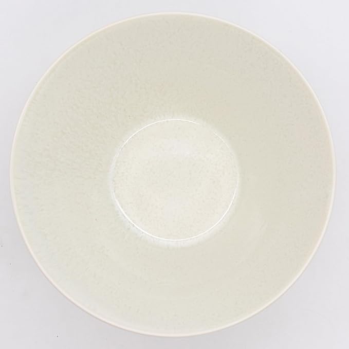 Aito Aito Seisakusho Natural Color Dinnerware Set Dishwasher-Safe Microwave Safe Ramen Donburi Large Diameter Approximately 6.7 x Depth 3.7 inches (17 x 9.4 cm) Mino Ware Stylish Bowl Plate