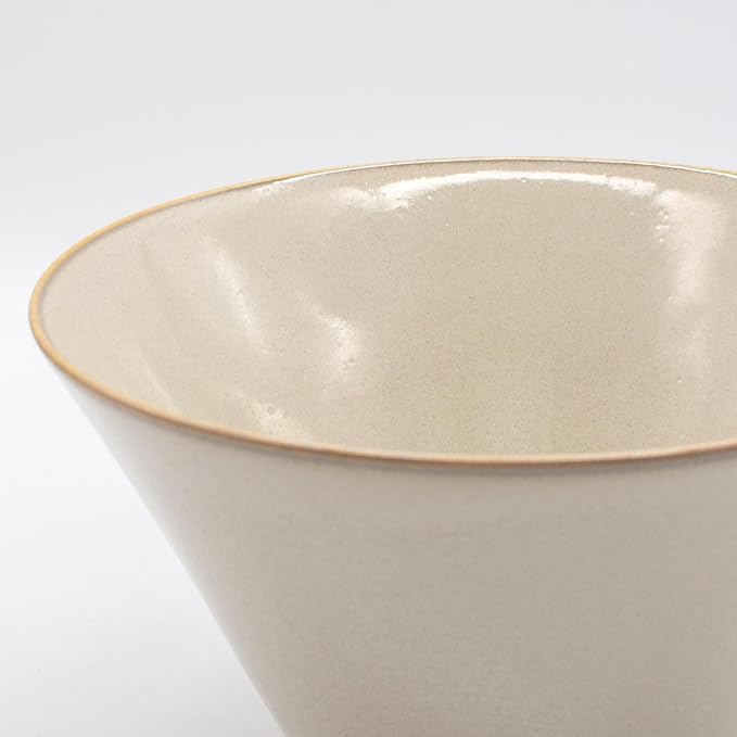 Aito Aito Seisakusho Natural Color Dinnerware Set Dishwasher-Safe Microwave Safe Ramen Donburi Large Diameter Approximately 6.7 x Depth 3.7 inches (17 x 9.4 cm) Mino Ware Stylish Bowl Plate