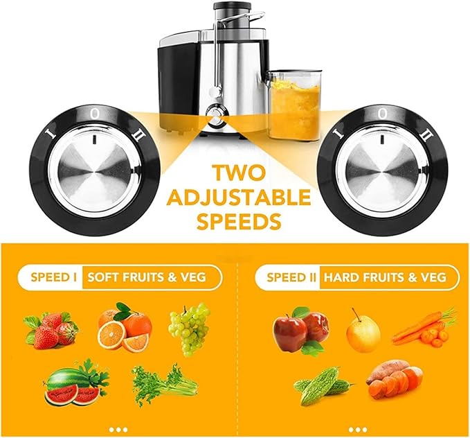 Home Multifunction Juicer Machine Fruit Vegetable Original Juice Double Cutter Head Stainless Steel Portable Fruit Juicers (B JP)