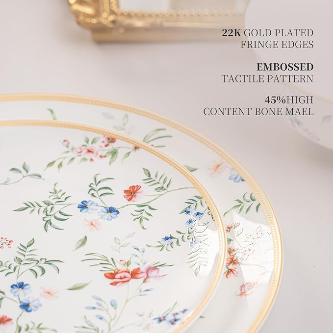 Bone China Plates and Bowels12-Pieces Dinnerware Sets Highly Chip and Crack Resistant Dishwasher &amp Microwave Safe Dishes Set Dense and Translucence