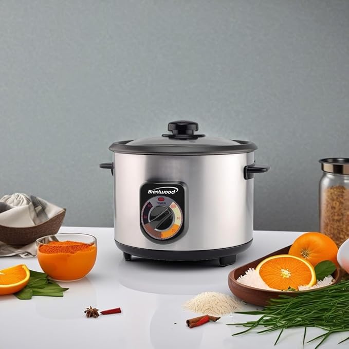Brentwood TS-1020S 10-Cup Uncooked/20-Cup Cooked Crunchy Persian Rice Cooker Stainless Steel [TS-1020S]