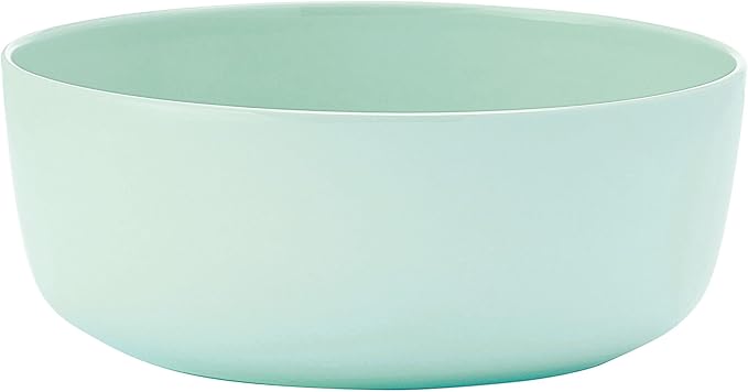 Mikasa Madison Pastel Bone China Lightweight Chip Resistant 12 Piece Dinnerware Set Mint Green