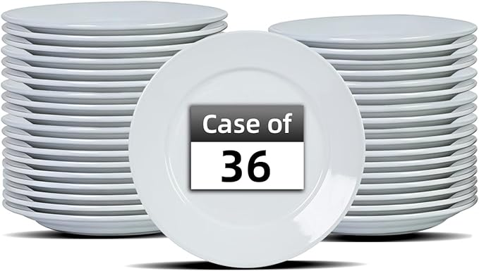 Stoneware Wide Rim Commercial Grade Dinnerware (America White Plate 7 1/8) (America White 7.25in)