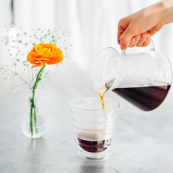 Hario Simply Hario V60 Glass Pour Over Coffee Set Size 02