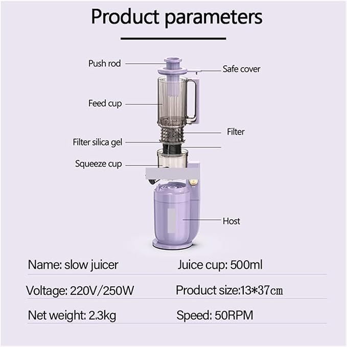 250W Electric Slow Juicer Portable Cold Press Juicer Extractor Fruit Vegetable Squeezer Filter-Free 220V (Purple)