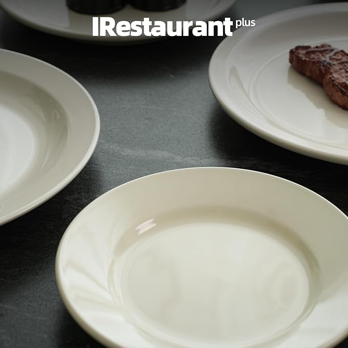 Stoneware Wide Rim Commercial Grade Dinnerware America White Plate 9 5/8 Case of 24