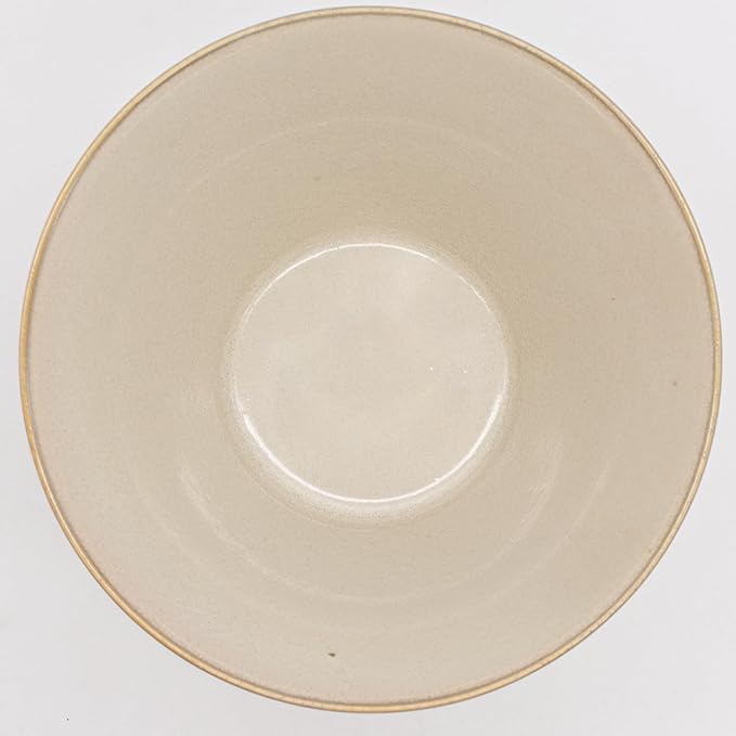 Aito Aito Seisakusho Natural Color Dinnerware Set Dishwasher-Safe Microwave Safe Ramen Donburi Large Diameter Approximately 6.7 x Depth 3.7 inches (17 x 9.4 cm) Mino Ware Stylish Bowl Plate
