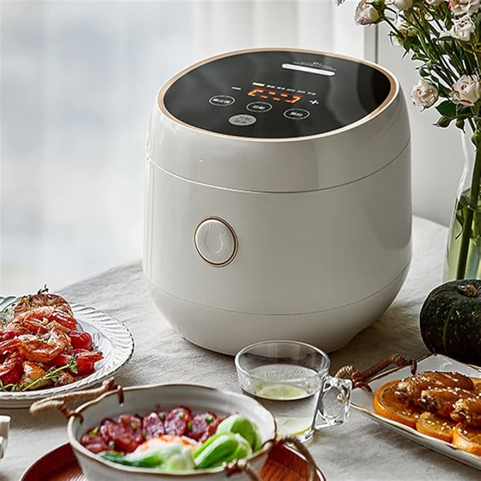 Mini Rice Cooker 3L Small Household Multifunctional Overflow-proof Pre-set Cooking Timer Suitable for 2-3 People