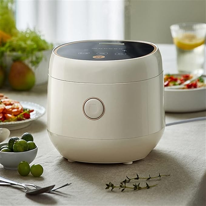 Mini Rice Cooker 3L Small Household Multifunctional Overflow-proof Pre-set Cooking Timer Suitable for 2-3 People