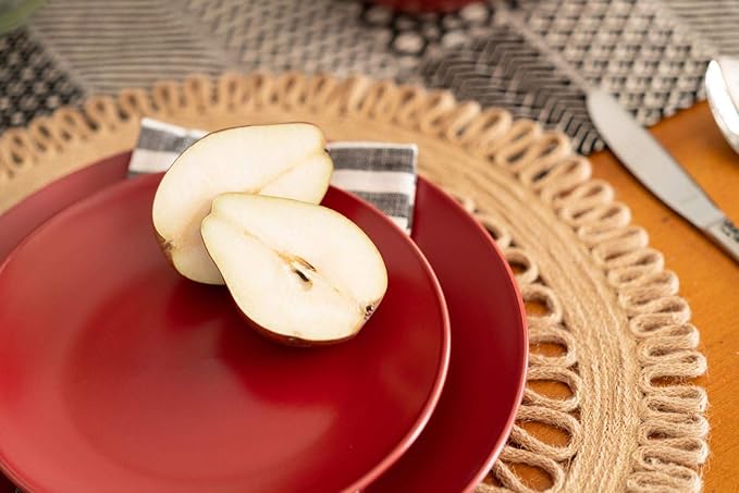 10 Strawberry Street Wazee Matte Coupe Dinnerware Set 16 pc Red