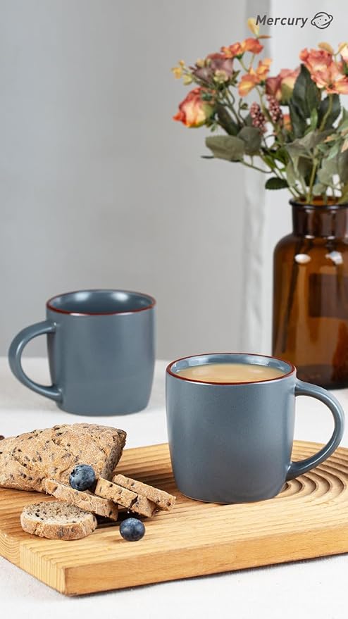 Famiware Mercury 16 Pieces Dinnerware Set with Plates and Bowls and Coffee Mugs Dish Set Service for 4 Stoneware Kitchen Dishes Dinner Sets - Matte Full Glaze Charcoal