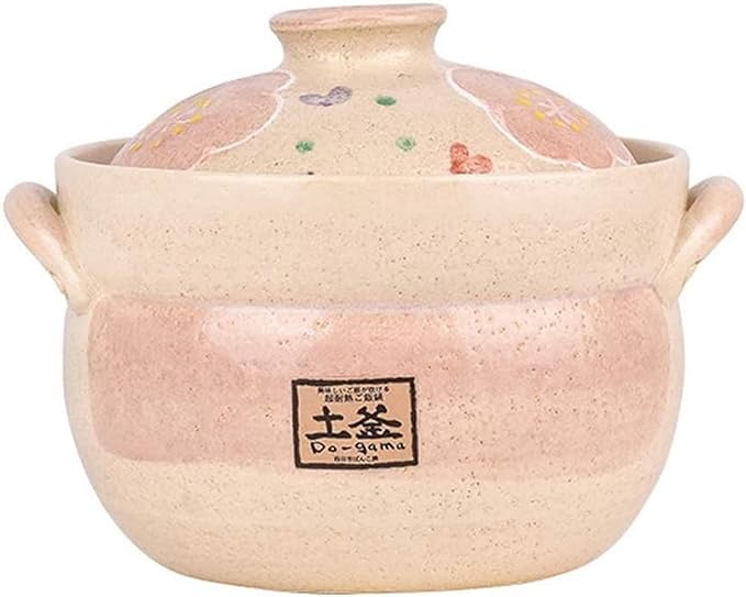 Earthenware Clay Rice PotJapanese Stone Rice CookerStove Stew PotHot PotCeramic Casserole with LidHeat Resistant Stock Pot for Steam Simmering F 2l (B 1L)