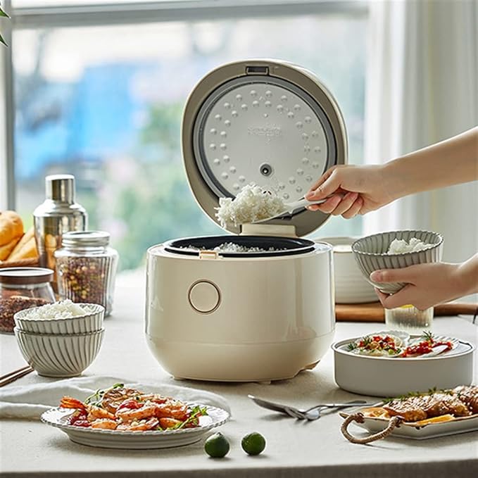 Mini Rice Cooker 3L Small Household Multifunctional Overflow-proof Pre-set Cooking Timer Suitable for 2-3 People