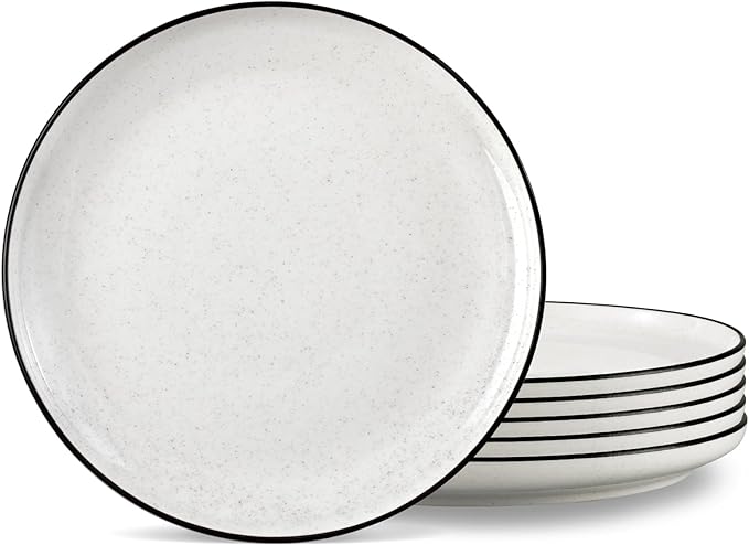 Ceramic White Dinner Plates Set of 6 10.5 Inch Plates for Kitchen Microwave Oven and Dishwasher Safe Modern Dishes Set for PastaSteak Dessert Salad