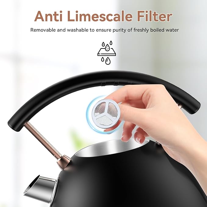 Rasonic Retro Electric Kettle Stainless Steel 1.8L Tea Water Boiler 1500W Fast Quiet Boil Temperature Gauge Auto Shut-Off Boil-Dry Protection Matt Black and Rose Gold