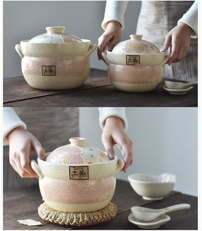 Earthenware Clay Rice PotJapanese Stone Rice CookerStove Stew PotHot PotCeramic Casserole with LidHeat Resistant Stock Pot for Steam Simmering F 2l (A 2L)
