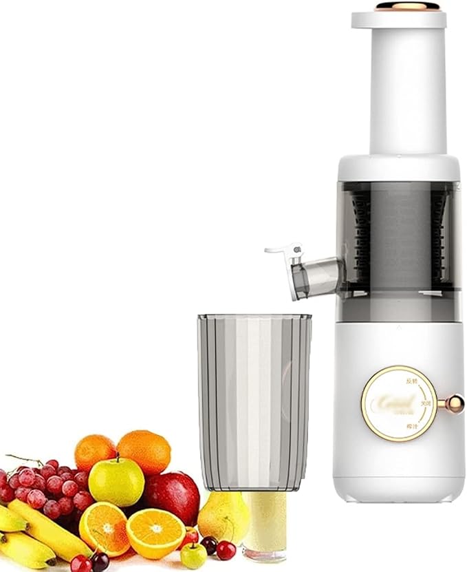 620 ml Electric Cold Press Juicer Compact Masticating Slow Juicer Portable Blender Masticating Juicers 120W Motor Reverse Function