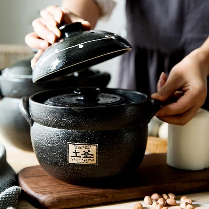 Earthenware Clay Rice PotJapanese Stone Rice CookerStove Stew PotHot PotCeramic Casserole with LidHeat Resistant Stock Pot for Steam Simmering F 2l (D 2L)