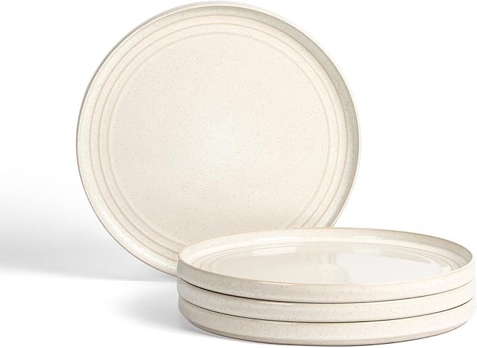 Stone Lain Claire 4-Piece Dinner Plate Set Stoneware Plates Dishwasher and Microwave Safe Dish Set for 4 White