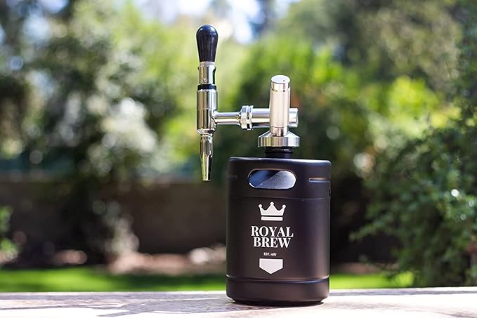 Royal Brew 10 Pack Nitrogen Chargers for Nitro Cold Brew Coffee Makers - N2 Cartridges - Works With All Royal Brew Nitro Coffee Systems