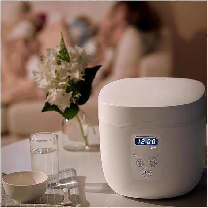 Electric Pressure Cooker Commercial Rice Cooker Rice Cooker Steamer 2L Automatic Cooking Non-Stick Inner Pot/Making Rice And Steaming Vegetables