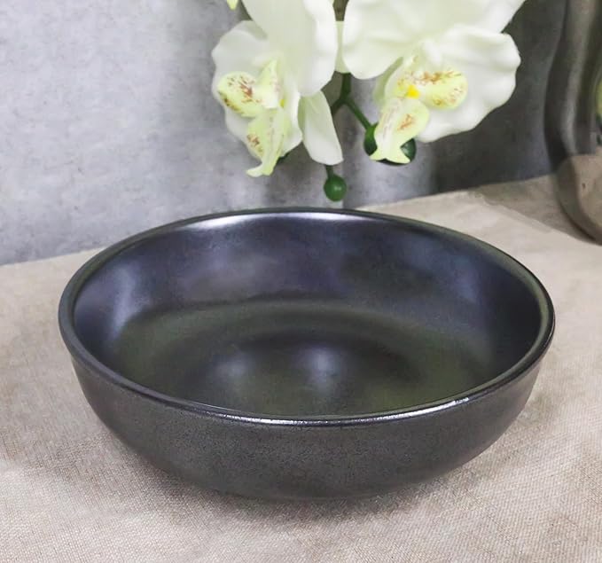 Ebros Gift Iron Black Clay Underglaze Technique Tetsu Kesho Porcelain Dinnerware Kitchen Set Asian Japanese Restaurant Supply (Pack Of 5 Shallow Bowl Deep Plates 10oz)