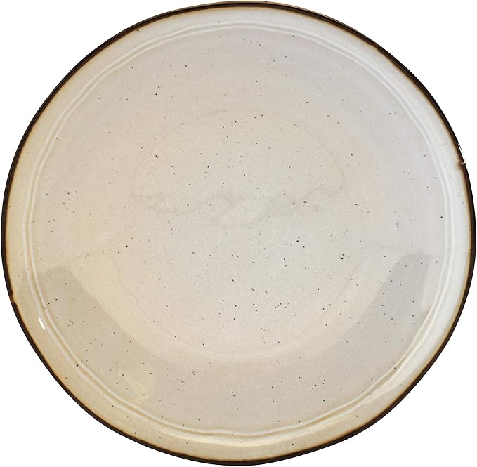 Tabletops Gallery Speckled Farmhouse Collection- Stoneware Dishes Service for 4 Dinner Salad Appetizer Dessert Plate Bowls 16 Piece Geneva Dinnerware Set